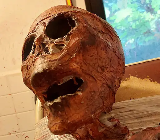 Auf dem Bild sieht man den Kopf von einem Skelett aus Blut.